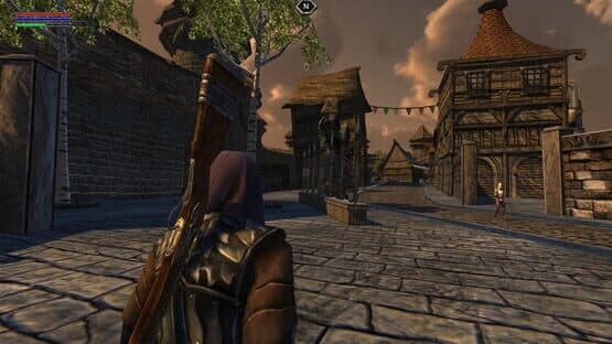 Ravensword: Shadowlands — screenshot 1