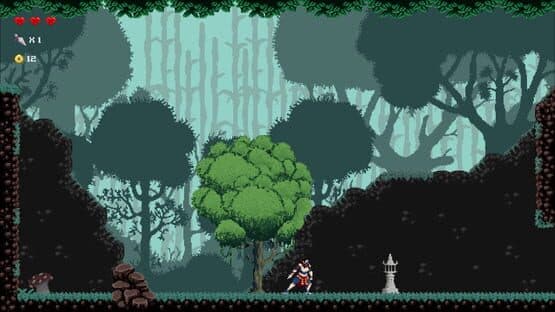 Chronicles of 2 Heroes: Amaterasu's Wrath — screenshot 2