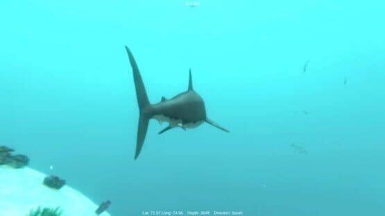 Alpha Shark — screenshot 2