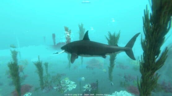 Alpha Shark — screenshot 3