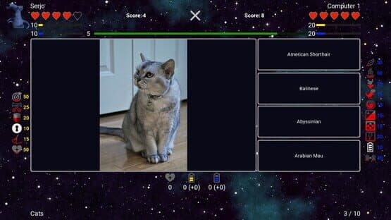 I've Seen Everything: Cats — screenshot 1