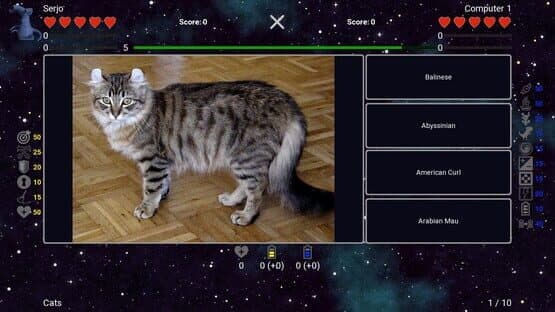 I've Seen Everything: Cats — screenshot 2