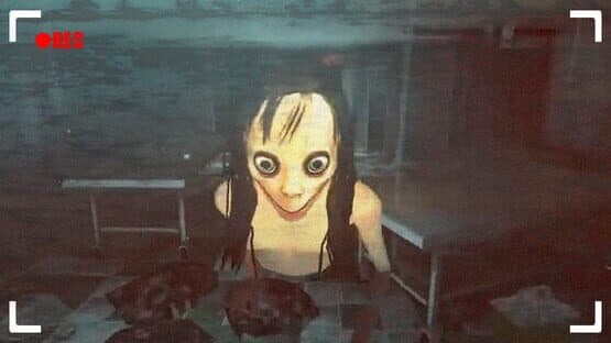 Momo is Here — screenshot 2