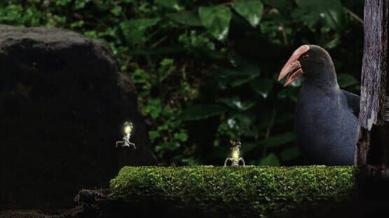 Seedlings — screenshot 4