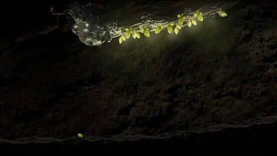 Seedlings — screenshot 5