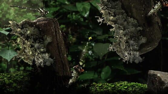 Seedlings — screenshot 6