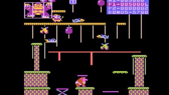 Donkey Kong Junior — screenshot 2