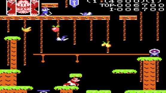 Donkey Kong Junior — screenshot 2