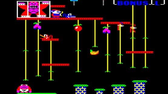 Donkey Kong Junior — screenshot 1