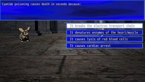 Quiz x RPG — screenshot 2