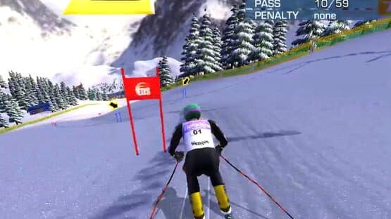 Alpine Skiing 2005 — screenshot 1