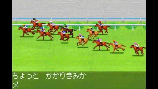 Derby Stallion Advance — screenshot 2
