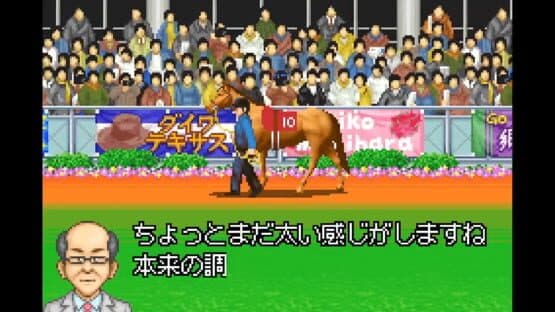 Derby Stallion Advance — screenshot 3