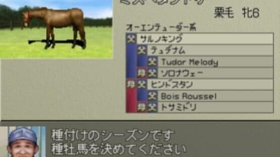 Derby Stallion 99 — screenshot 1
