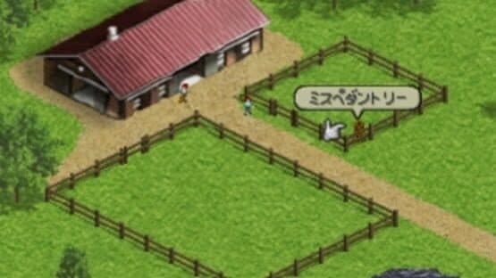 Derby Stallion 99 — screenshot 2