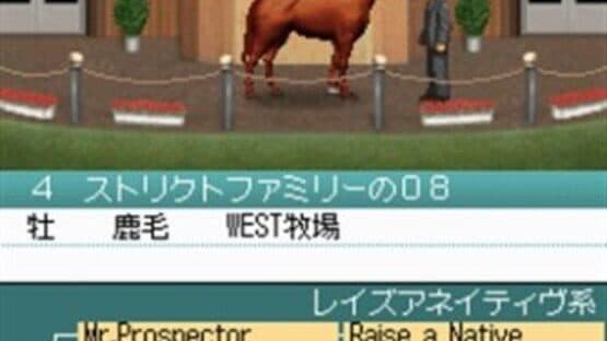 Derby Stallion DS — screenshot 1