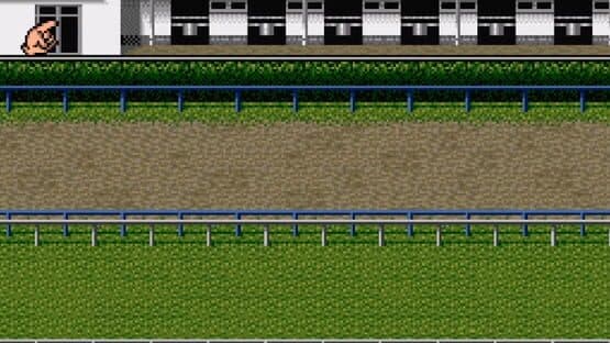 Derby Stallion Expert Kit — screenshot 2