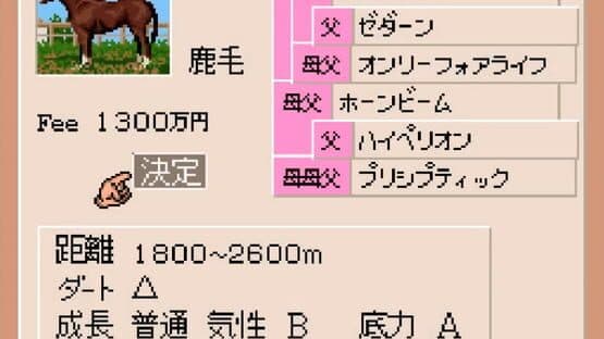 Derby Stallion Expert Kit — screenshot 3