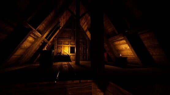 The Thief in the Dark — screenshot 6