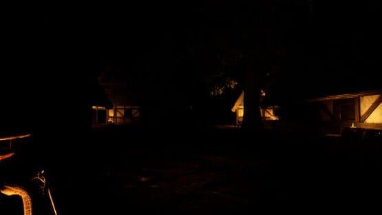 The Thief in the Dark — screenshot 8