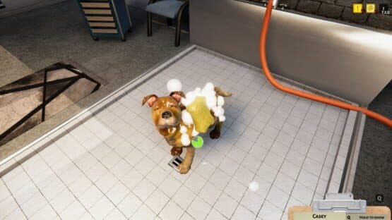 Animal Shelter Simulator — screenshot 1
