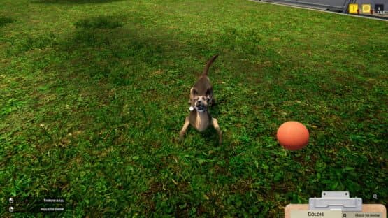 Animal Shelter Simulator — screenshot 5