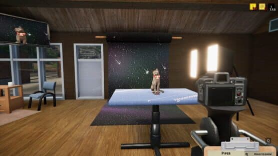 Animal Shelter Simulator — screenshot 8