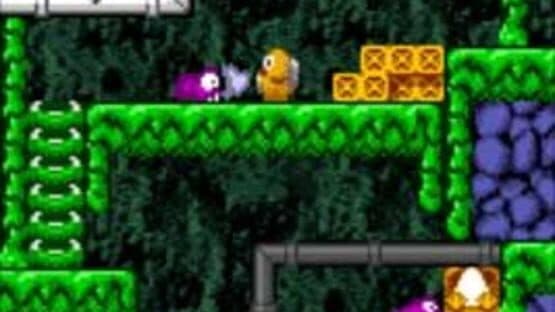 Toki Tori — screenshot 3
