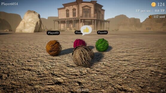 Tumbleweed Destiny — screenshot 1