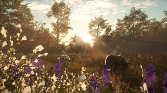 TheHunter: Call of the Wild - Mississippi Acres Preserve — screenshot 1