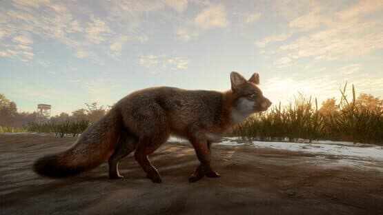 TheHunter: Call of the Wild - Mississippi Acres Preserve — screenshot 3