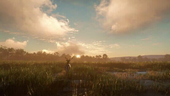TheHunter: Call of the Wild - Mississippi Acres Preserve — screenshot 8