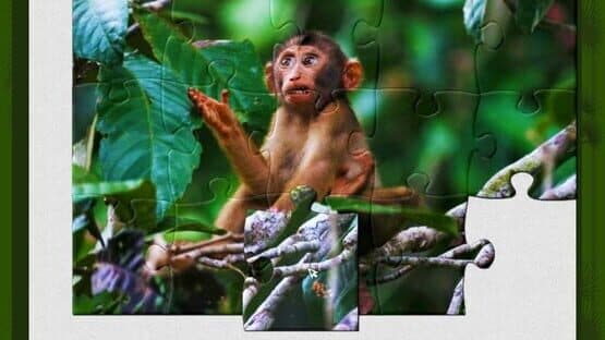 1001 Jigsaw: Wild Animals — screenshot 1