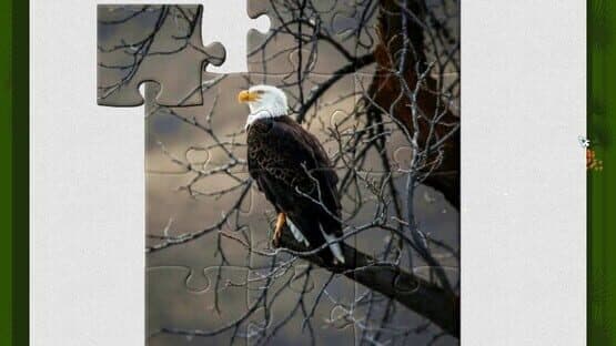 1001 Jigsaw: Wild Animals — screenshot 5
