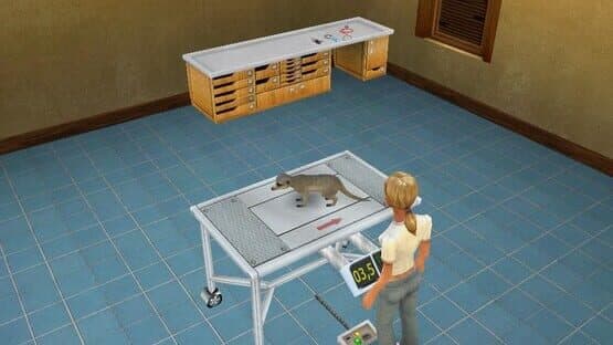 Pet Vet 3D: Wild Animal Hospital — screenshot 6