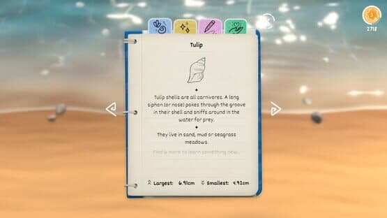 Seashell — screenshot 2