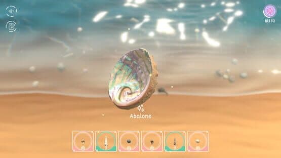 Seashell — screenshot 5