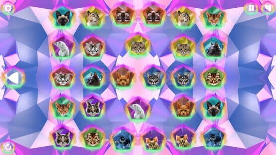 Poly Memory: Cats — screenshot 1