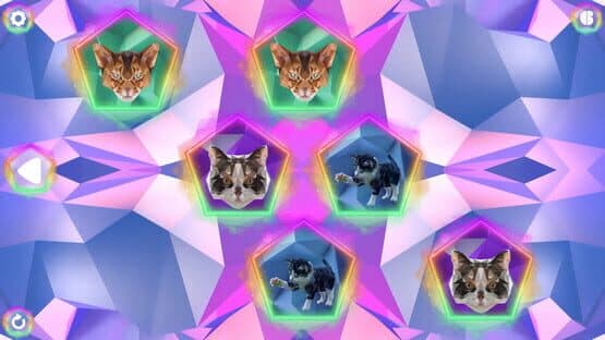 Poly Memory: Cats — screenshot 2