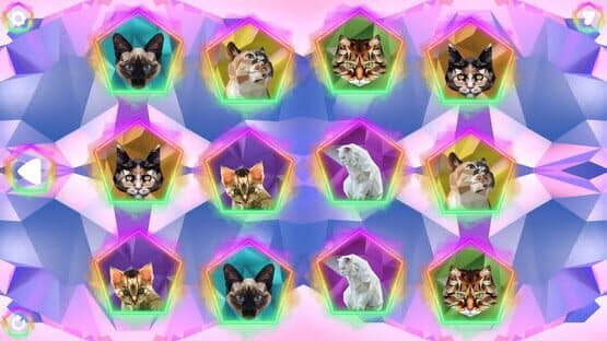 Poly Memory: Cats — screenshot 3