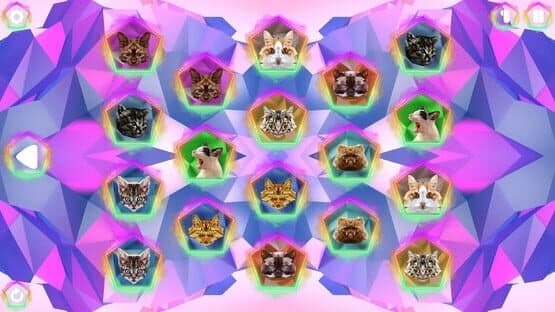 Poly Memory: Cats — screenshot 5
