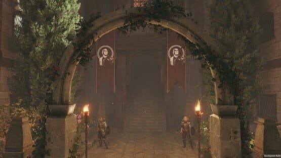 Solasta: Crown of the Magister - Lost Valley — screenshot 1