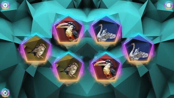 Poly Memory: Birds — screenshot 1