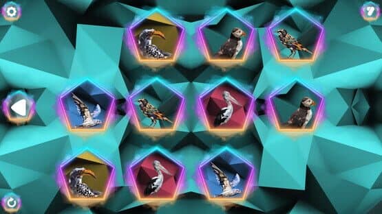 Poly Memory: Birds — screenshot 4