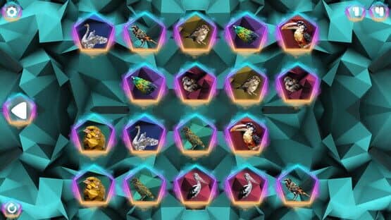 Poly Memory: Birds — screenshot 5
