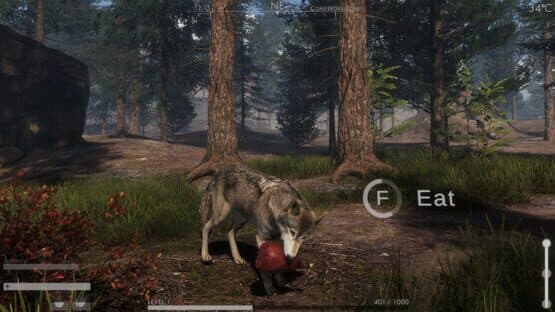 The Wilds — screenshot 1