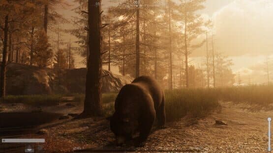 The Wilds — screenshot 2