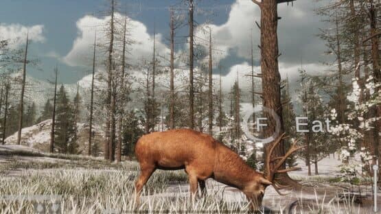 The Wilds — screenshot 4