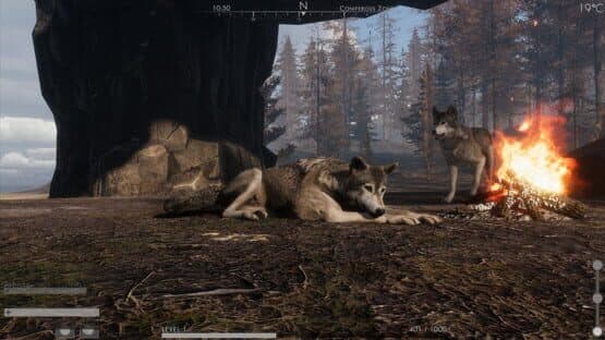 The Wilds — screenshot 5