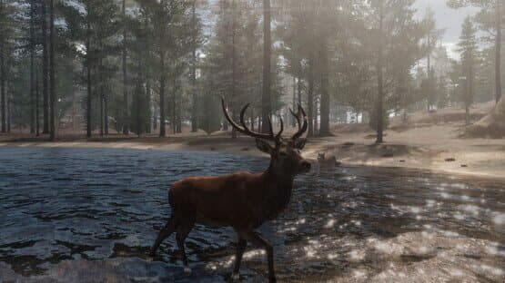The Wilds — screenshot 6